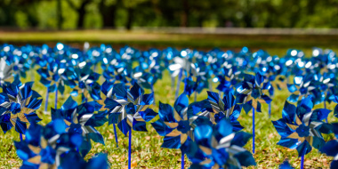 Blue and silver pinwheels covering a lawn
