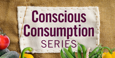 Conscious Consumption Series
