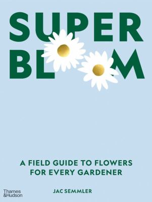 Super Bloom (with daisies for the 'o's)